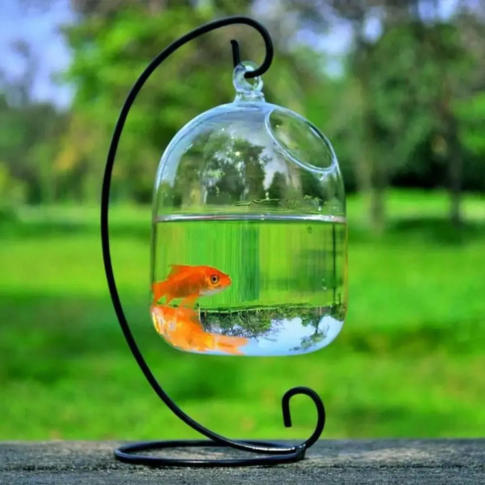 Hanging Glass Fish Bowl With Rack Holder Home Decoration