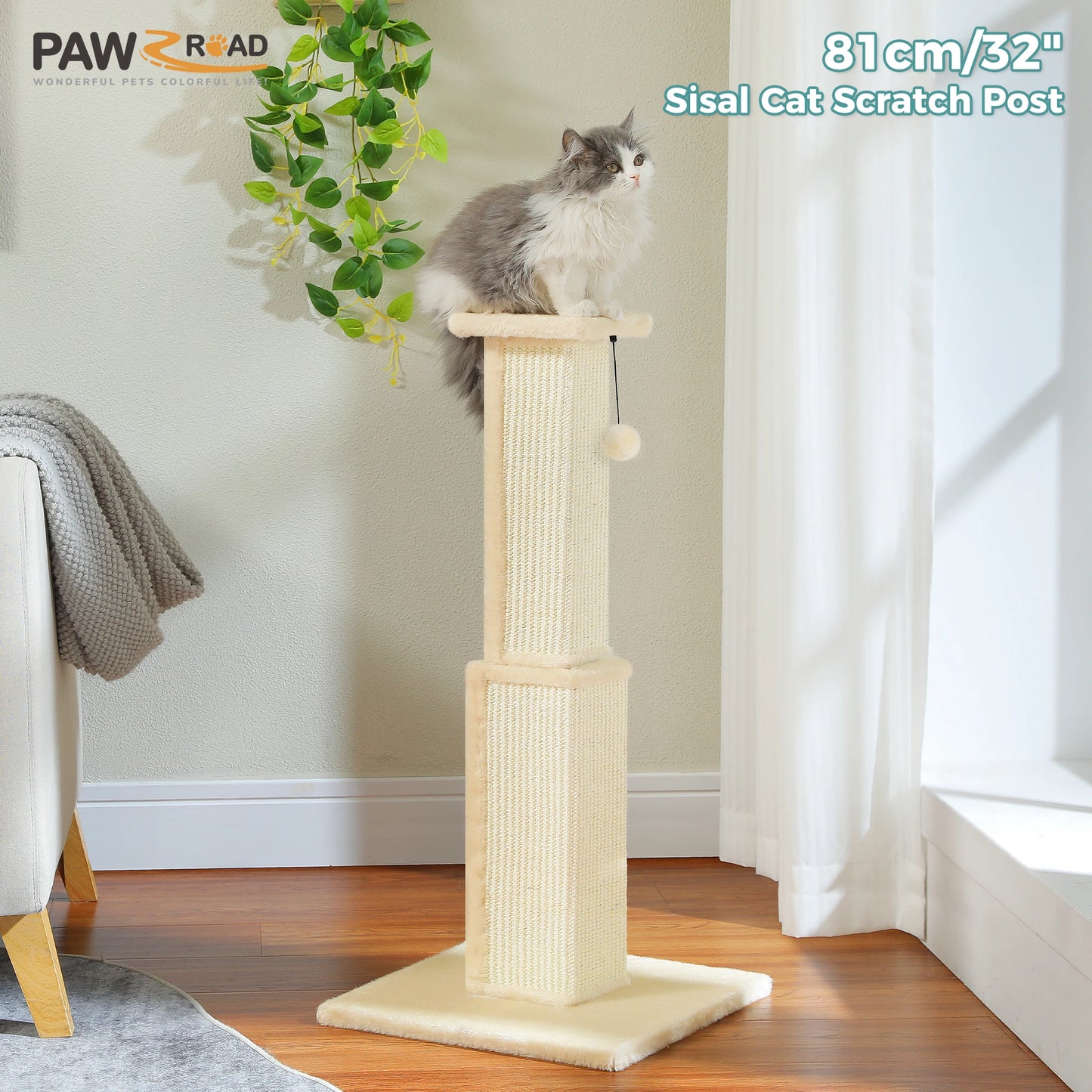 PAWZ Road Cat Scratching Post for Indoor Cats Durable Toy