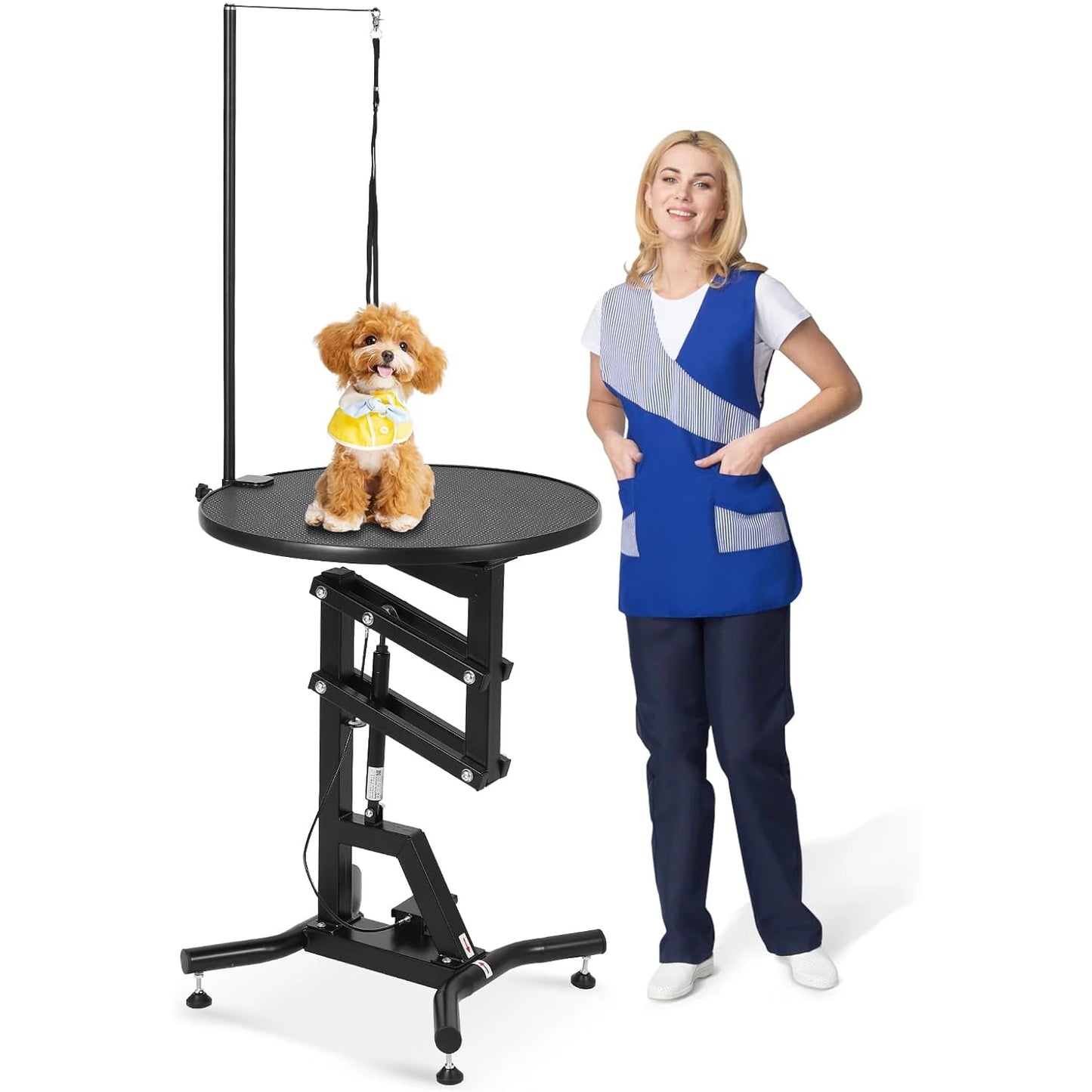 HiMISS Hydraulic Lift Dog Grooming Table 360 Degree Rotation