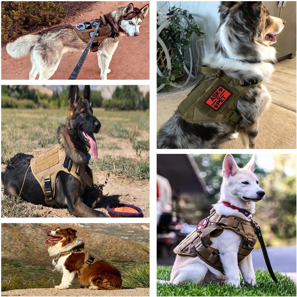 PETRAVEL Tactical Dog Harness Set with Collar Leash and Patches