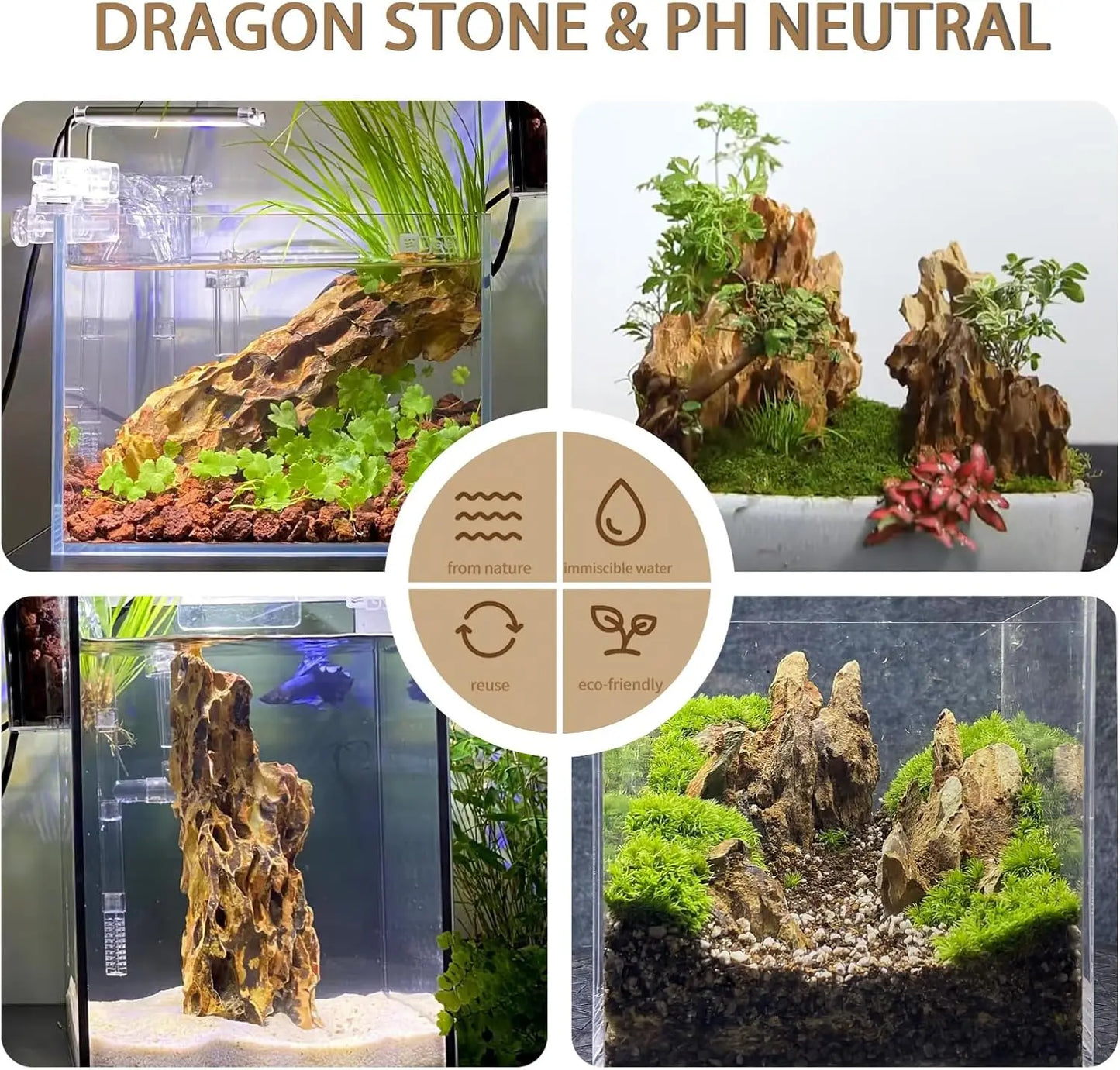 Natural Dragon Stone Rocks for Aquarium Decor and Aquascaping
