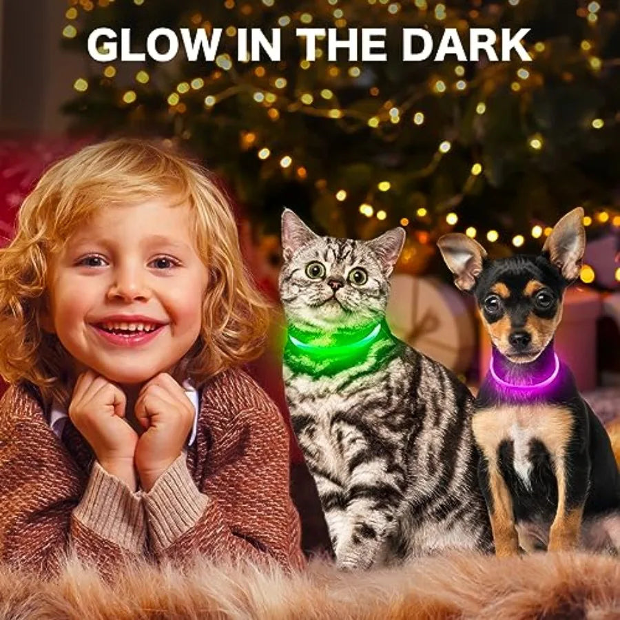 Light Up Dog Collar LED Glow TPU Rechargeable Pet Collar