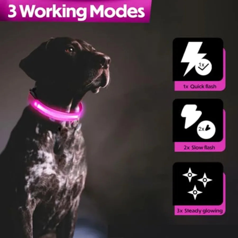 Light Up Reflective Dog Collar Adjustable and Rechargeable