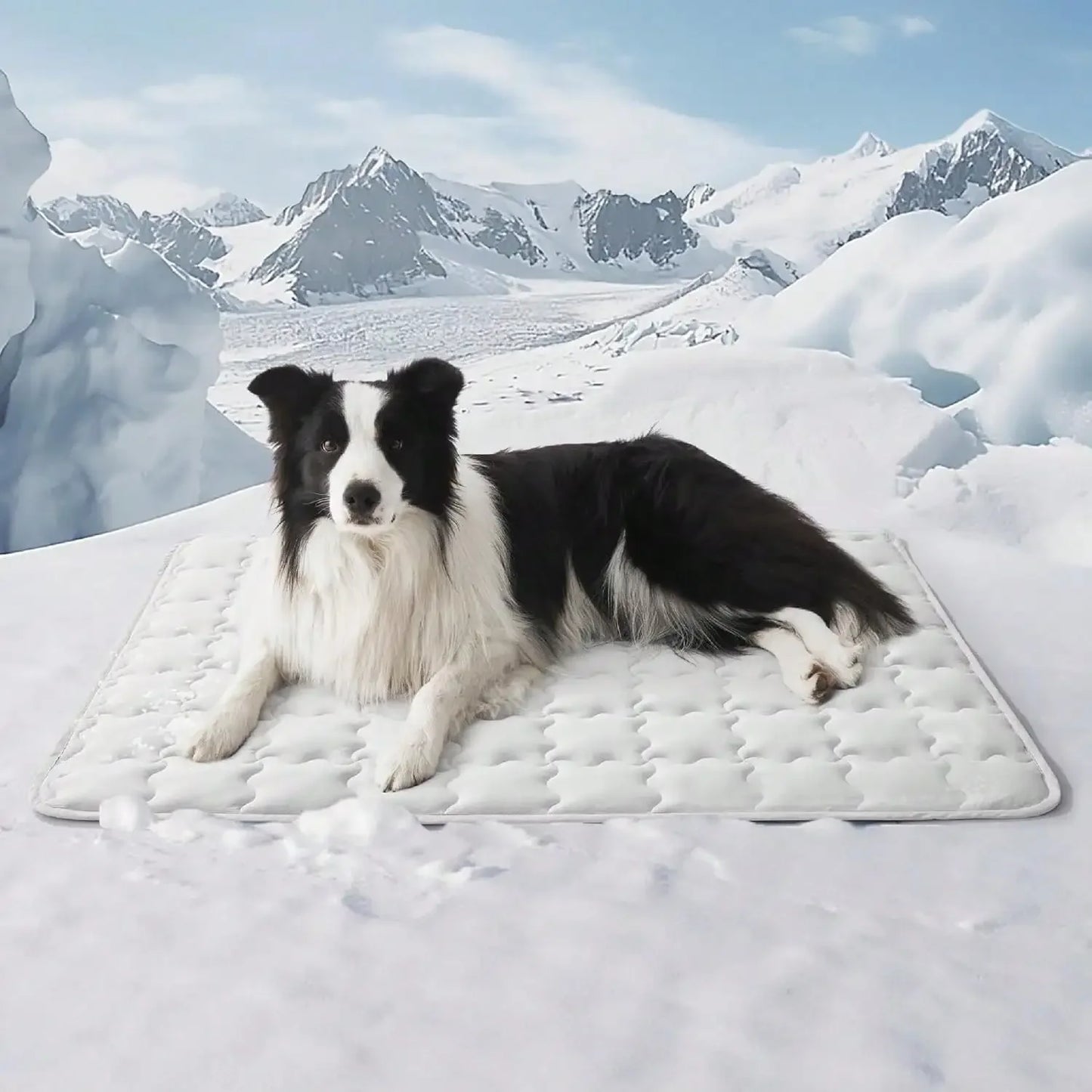 Summer Pet Cooling Mat For Dogs And Cats Self Cooling Pad Breathable Bed