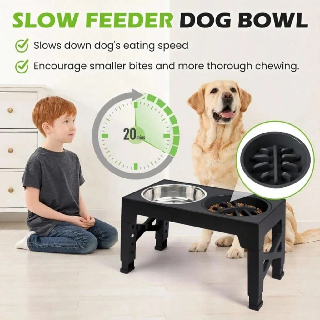 Adjustable Elevated Dog Feeder With Slow Feeder Bowl And Ball