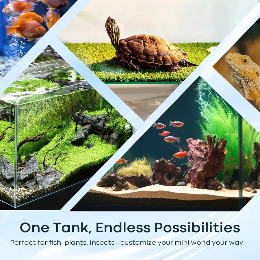 Rimless Glass Fish Tank Cube for Betta