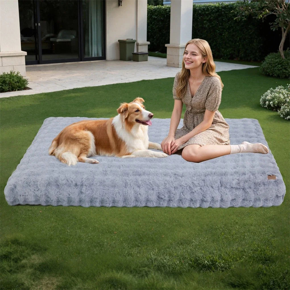 BINGOPAW Ultra Soft Dog Bed With Removable Cover Machine Washable