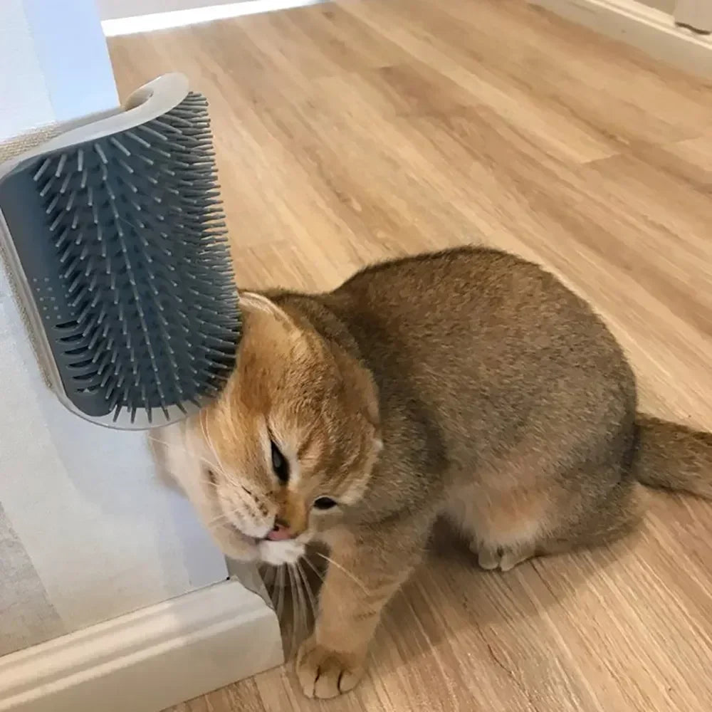 Cat Scratch Comb With Catnip For Pet Grooming And Deshedding
