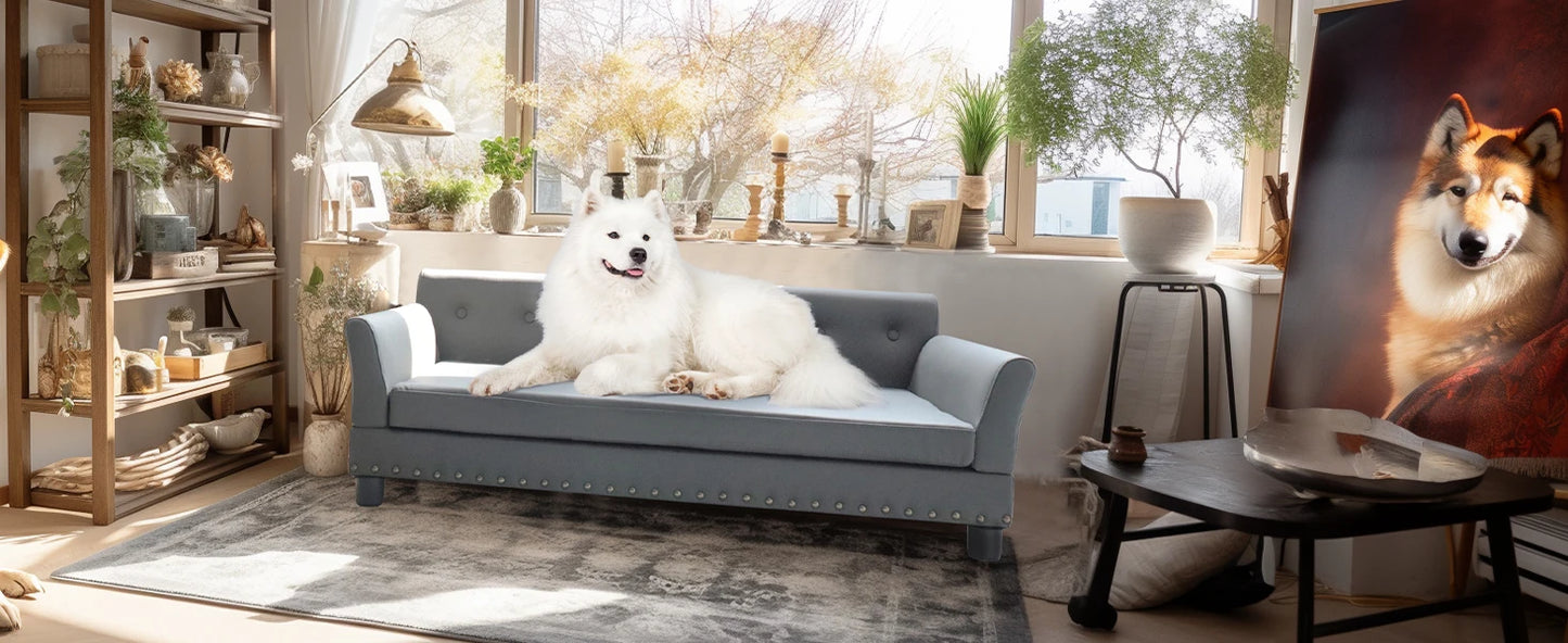 BINGOPAW Rectangle Elevated Dog Bed Durable Sofa