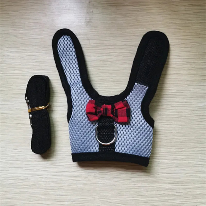 Small Animal Outdoor Walking Harness And Leash Set