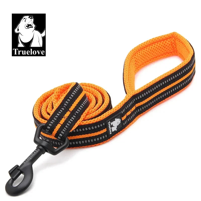 Truelove Reflective Padded Nylon Pet Leash For Dogs And Cats
