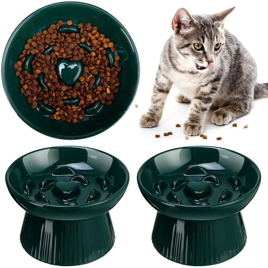 Raised Cat Slow Feeder Bowls Ceramic Elevated No Spill 2Pack