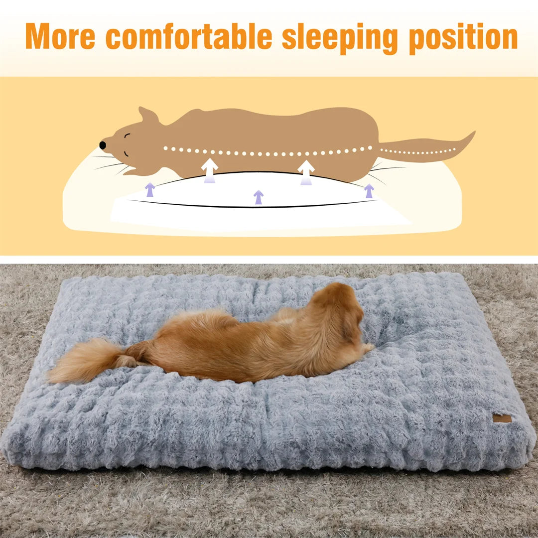 BINGOPAW Ultra Soft Dog Bed With Removable Cover Machine Washable